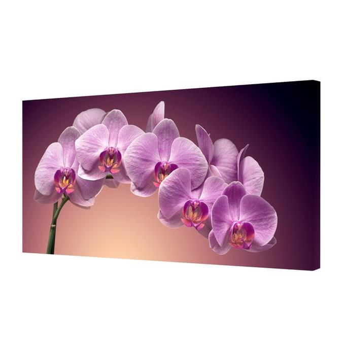 Картина на холсте&quot; Ветка орхидеи&quot; 50*100 см