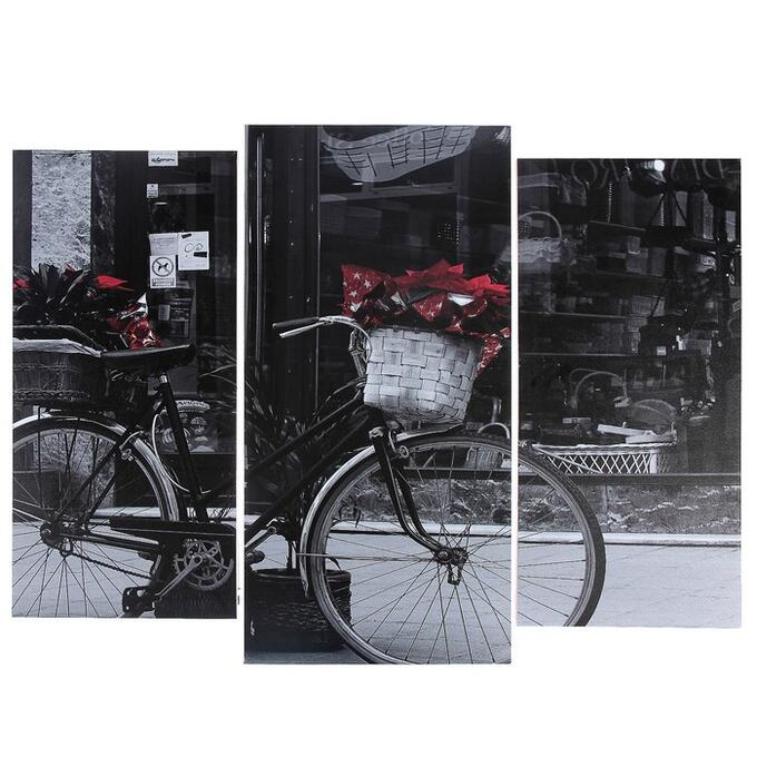 Модульная картина &quot;Чёрно-белый велосипед&quot;  (2-25х52; 1-30х60) 60х80 см