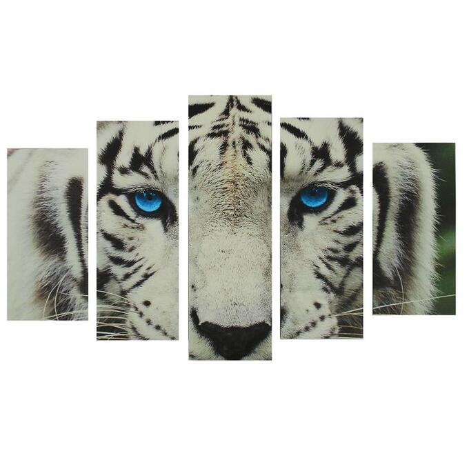 Картина модульная на подрамнике &quot;Голубые глаза тигра&quot; 2-25*52,2-25*66,5,1-25*80, 80*140 см