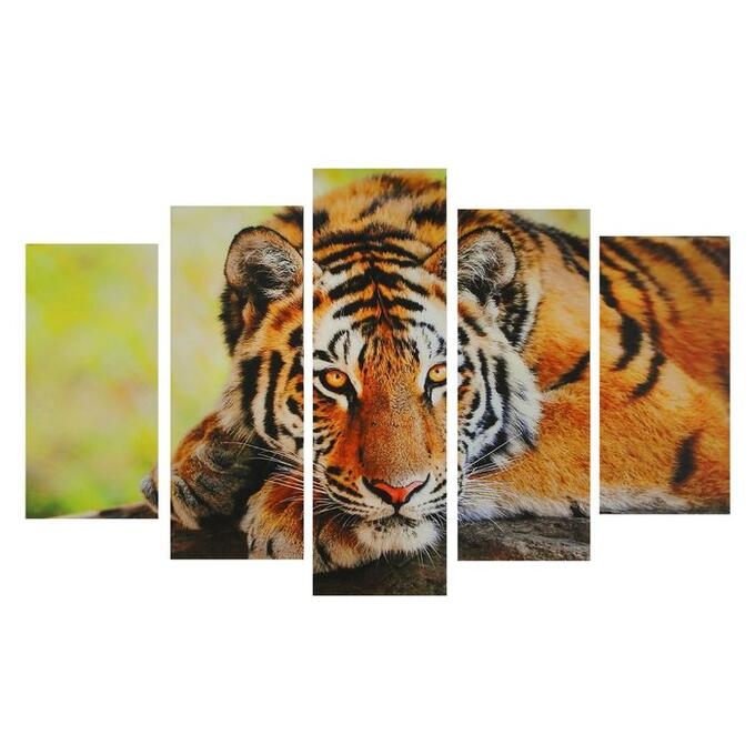 Картина модульная на подрамнике &quot;Таинственность тигра&quot; 2-25*52,2-25*66,1-25*8, 80*140 см