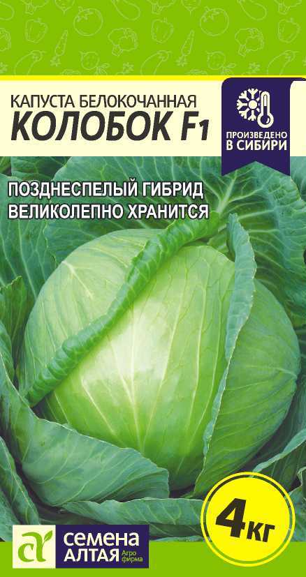 Капуста Колобок Описание Сорта Фото Отзывы Садоводов