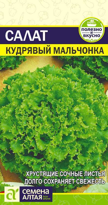 Семена Алтая Зелень Салат Кудрявый Мальчонка/Сем Алт/цп 0,5 гр.