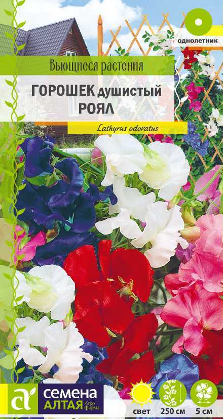 Цветы Душистый горошек Роял/Сем Алт/цп 0,5 гр. Вьющиеся растения