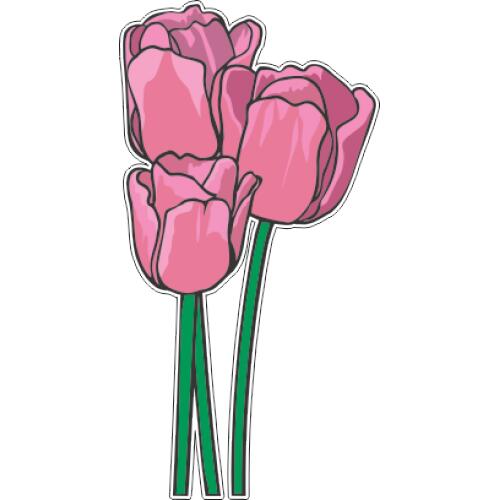 Стикер тюльпан. Тюльпаны стикер. Стикеры тюльпанчик. Стикер тюльпан. Тюльпаны стикер.
