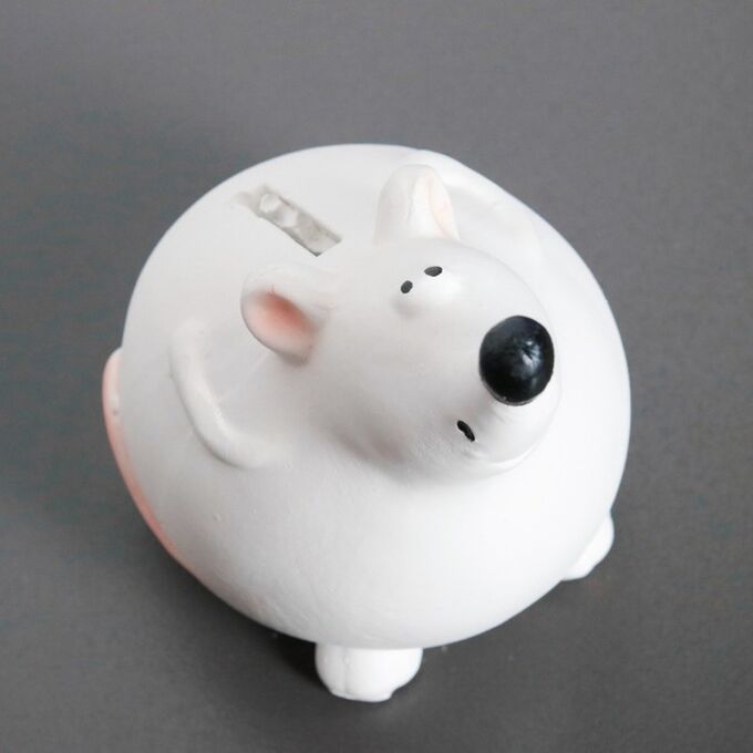 Круглая мышь. Милые круглые картинки. Мышонок с сыром. Круглый мишка. Круглая мышь.