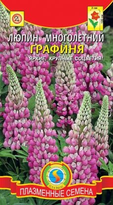 Цветы Люпин Графиня ЦВ/П (ПЛАЗМА) розовый многолетнее до 1м