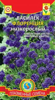 Цветы Василёк Флоренция низкорослый ЦВ/П (ПЛАЗМА) однолетнее 30-35см