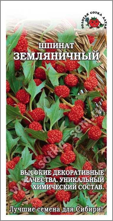 Золотая сотка Алтая Шпинат Земляничный ЦВ/П (СОТКА) 0,2гр однолетник 40-50см