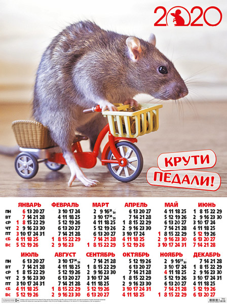 2020 год по календарю чей Что такое год по восточному календарю