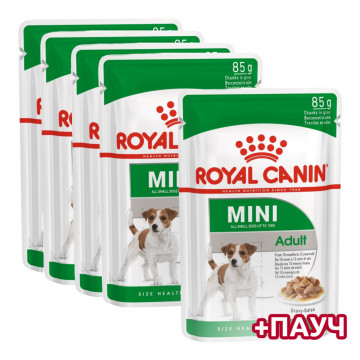 Влажный корм для собак royal canin. Роял Канин влажный корм для собак мелких пород. Роял Канин для собак мини Эдалт. Роял Канин паучи для собак мелких пород. Royal Canin (Роял Канин) мини Эдалт 2кг.