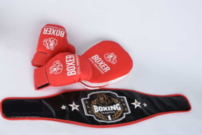 Боксерский набор (пояс,перчатки, лапа)