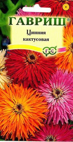 Baizheng Household Уссурийск С Ц Цинния Кактусовая махр смесь, до 90см, однол 0,5гр Гавриш/ЦВ1/10