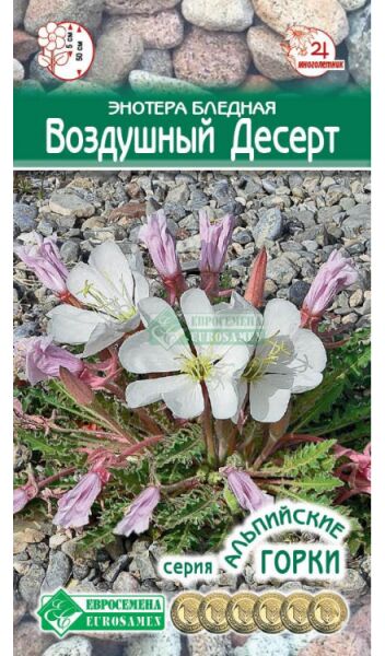Евросемена Энотера бледная Воздушный десерт (0,1 гр)