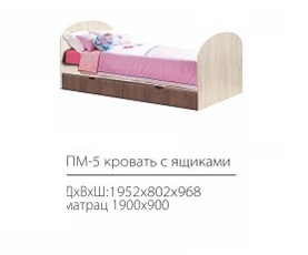 ПМ-5 Кровать одинарная с ящиками 1900* 900 МДФ матов