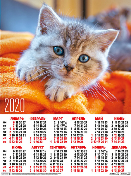 Календарь 2025г в хорошем качестве Календарь 2020г А2 Кошки. Серый котенок с пледом Календари листовые. Книги и кан