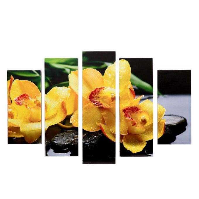 Модульная картина &quot;Жёлтые орхидеи&quot; (2-23х52; 2-24х70; 1-24х80) 120х80см