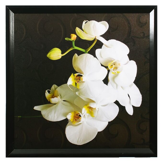 Картина &quot;Белая орхидея&quot; 75*75 см рамка микс