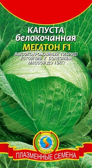 Плазменные семена Капуста б/к Мегатон F1 (Код: 15042)
