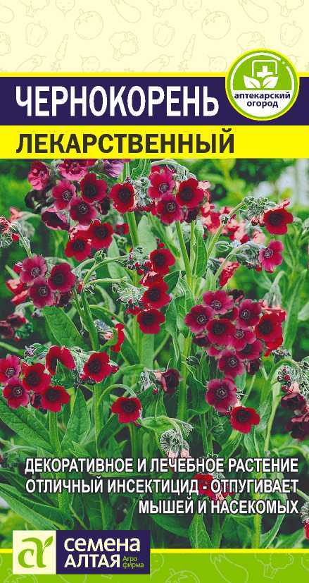 Зелень Чернокорень Лекарственный/Сем Алт/цп 0,1 гр. АПТЕКАРСКИЙ ОГОРОД!