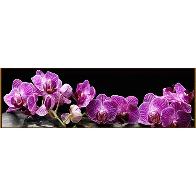 Алмазная мозаика «Тропическая орхидея», 33 цвета