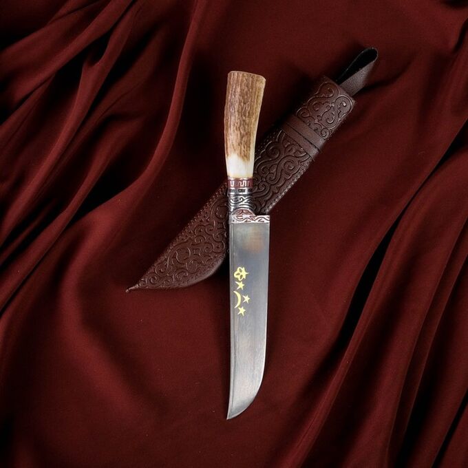 Шафран Нож Пчак Шархон, рукоять из рога косули малая, гарда с гравировкой