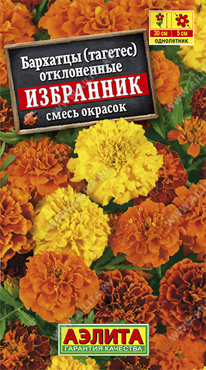 Аэлита Бархатцы Избранник, смесь окрасок