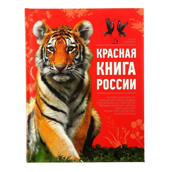 Как выглядит красная книга снаружи