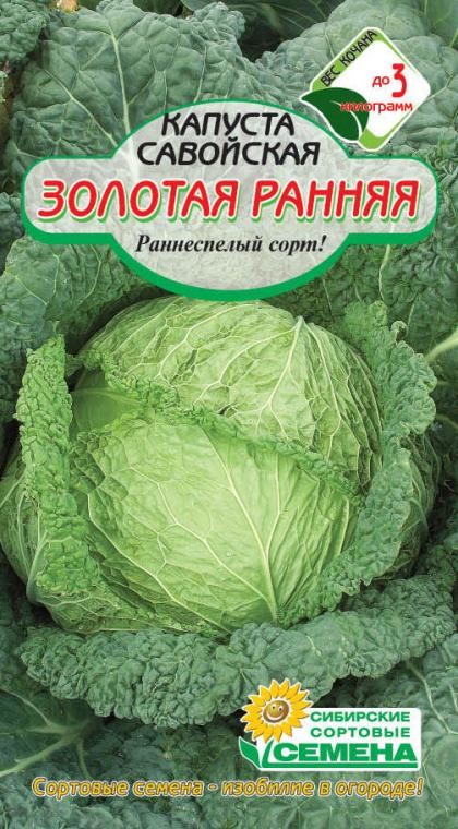 Капуста савойская Золотая