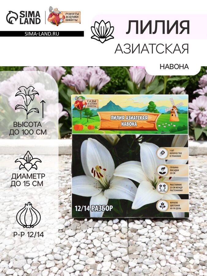 Сады Дедушки Никиты Лилия Азиатская «Навона», луковица в пакете с перфорацией, р-р 12/14, 3 шт.