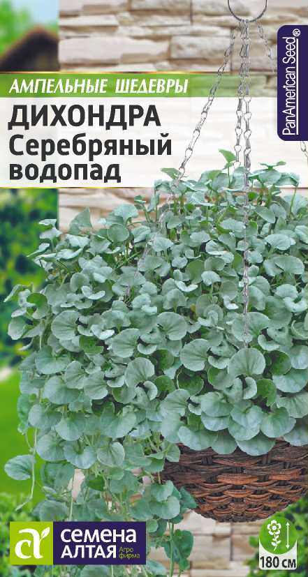 Дихондра серебристый водопад семена
