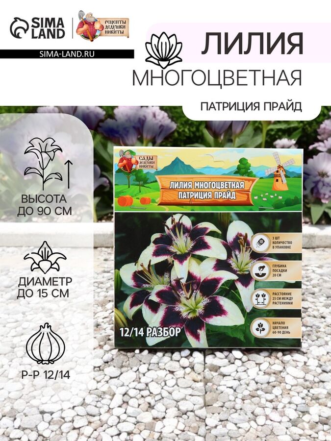 Сады Дедушки Никиты Лилия Многоцветная «Патриция Прайд», луковица в пакете с перфорацией, р-р 12/14, 3 шт.
