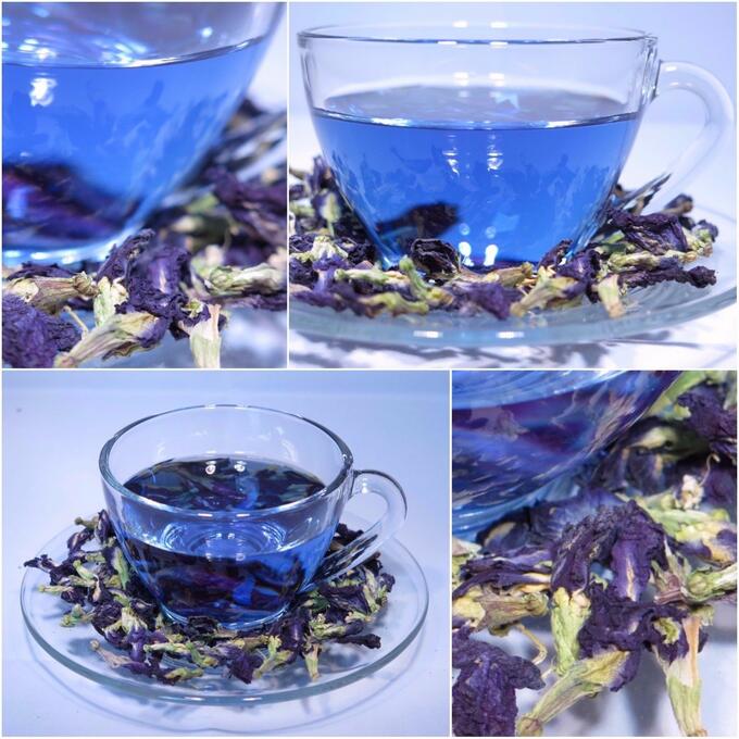Синий чай (Клитория тройчатая)