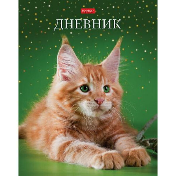 Hatber Дневник 1-11 класс (твердая обложка) &quot;Рыжий котик&quot; (078810) 28474 Хатбер