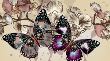 &quot;Прекрасные бабочки&quot;