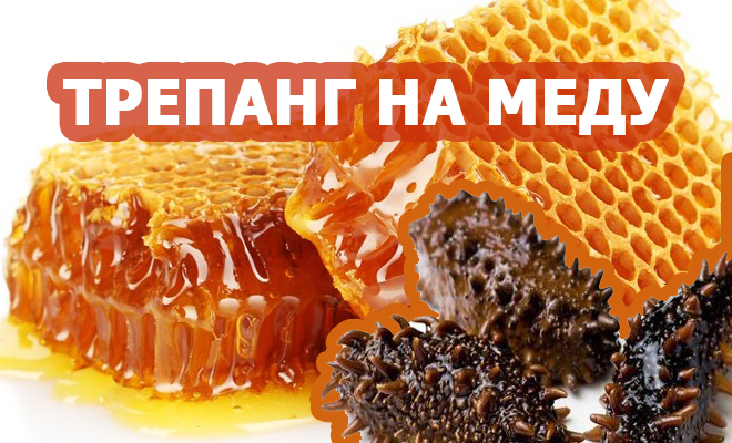 Трепанг с медом, 500 грамм