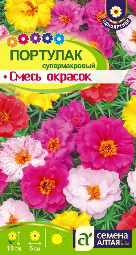 Портулак супермахровый