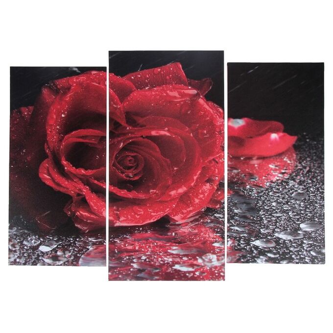 Модульная картина &quot;Роза под дождём&quot;  (2-25х52; 1-30х60) 60х80 см