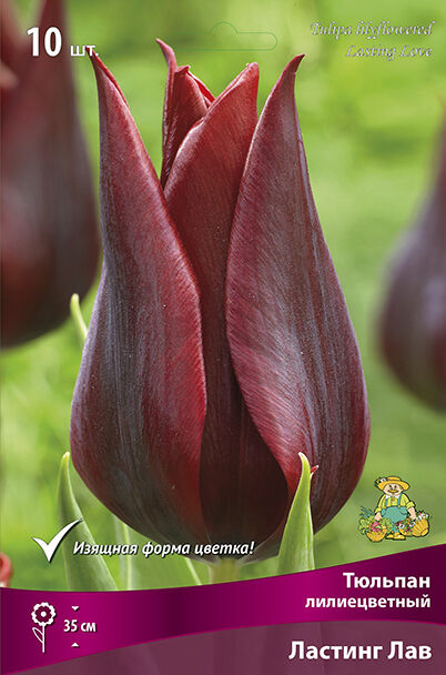 Сибирский сад Тюльпан Ластинг Лав 11/12 10шт (Поиск)