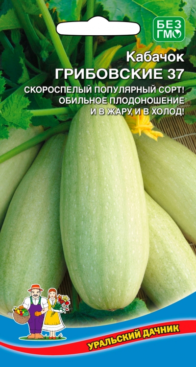 Кабачок Грибовские 37 (Марс) (скороспелый,кустовой,неприхотливый,плод до 1,5 кг)