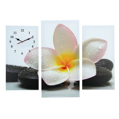 Часы настенные, серия: Цветы, модульные Цветок на камнях, 60х80 см, микс