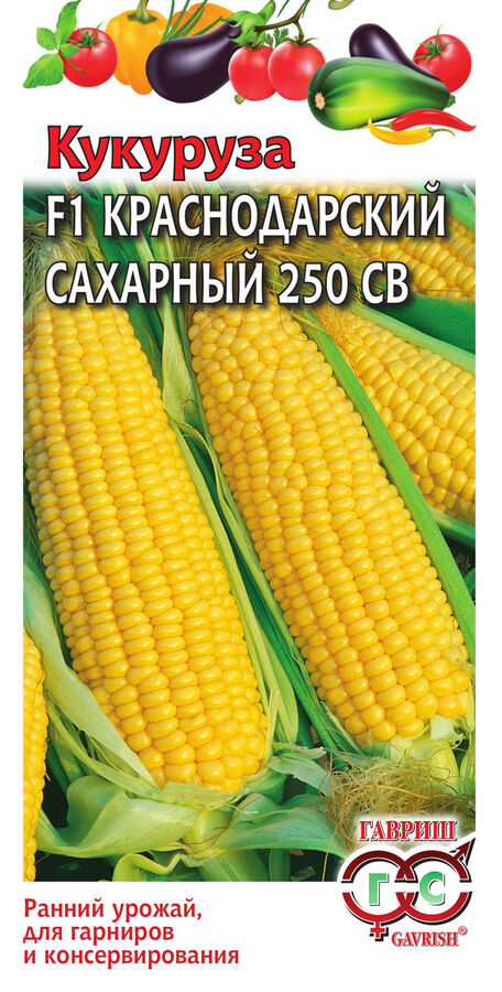Семена Алтая Кукуруза Краснодарский сахарный F1/Гавриш/цп 5 гр.