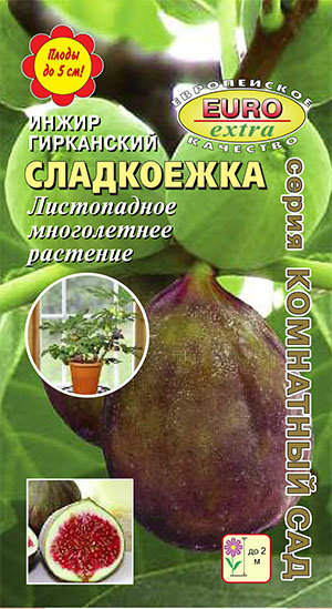 Инжир Сладкоежка/Аэлита/цп