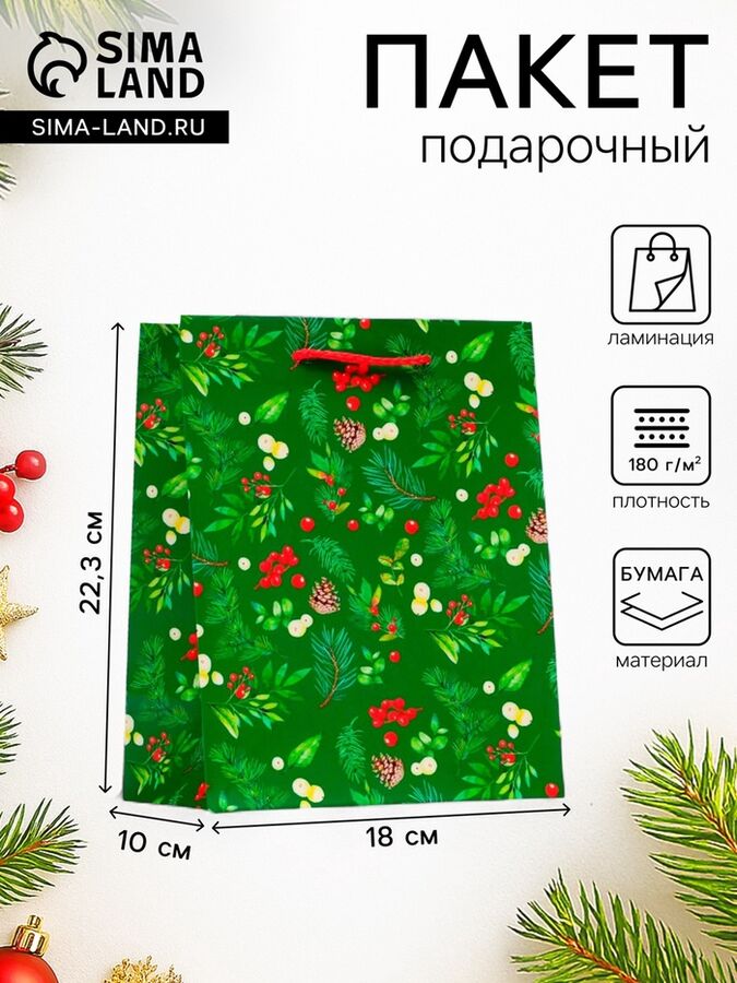 СИМА-ЛЕНД Пакет подарочный новогодний ламинированный «Веточки», 18x22.3x10 см