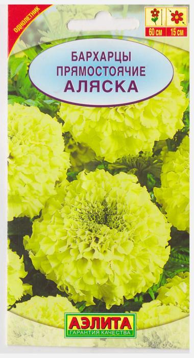 Аэлита Бархатцы Аляска (Код: 11971)