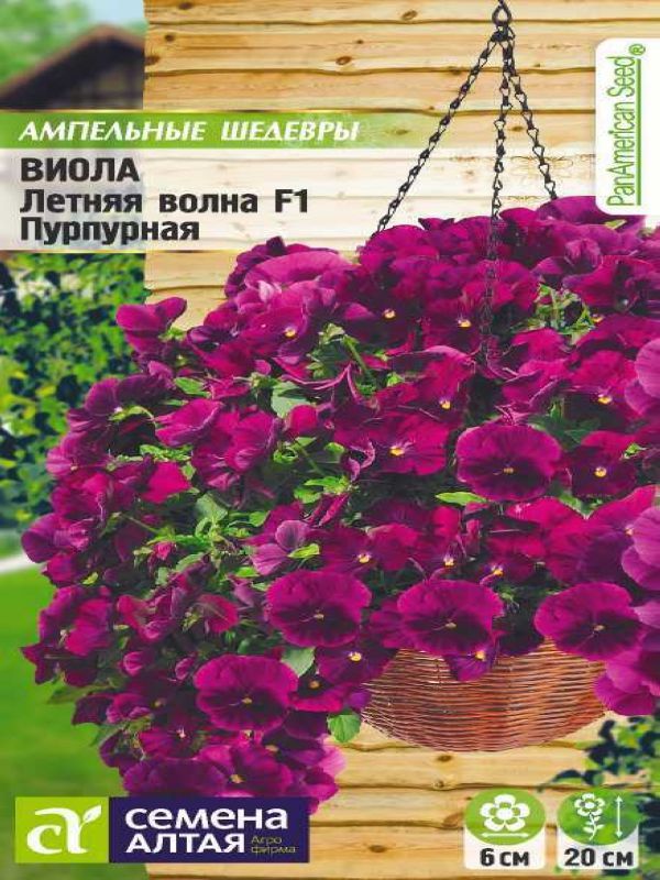 Виола ампельная