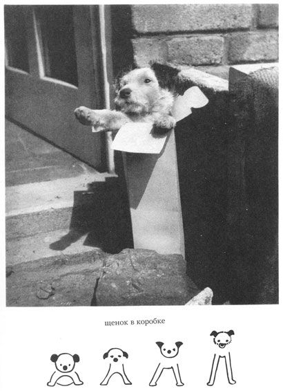 Самокат Чапек, Карел Дашенька, или история щенячьей жизни (2-е издание)
