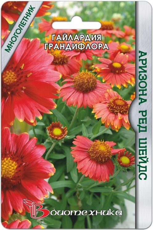 Гайлардия грандифлора Аризона ред Шейдс
