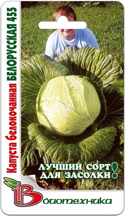 БиоТехника Капуста белокочанная Белорусская 455 0,5 гСамый лучший сорт для квашения