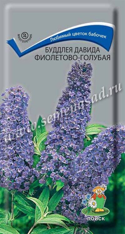 Поиск Буддлея Давида Фиолетово-голубая (ЦВ) (&quot;М) 0,01гр.