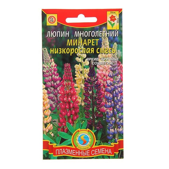 Люпин многолистный минарет